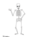 Coloring Your Skeleton!