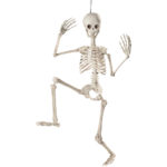 3 foot pose-able skeleton doll skeleton in the closet